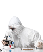 Image link
